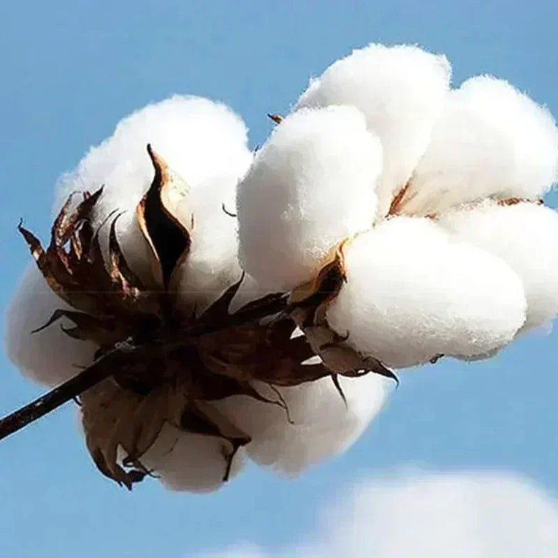 Retired Bass Guitarist Retired Bass Guitar Autumn and Winter Hoodie 2025 Autumn and Winter Hot Sale Cotton Unisex Casual Hoodie