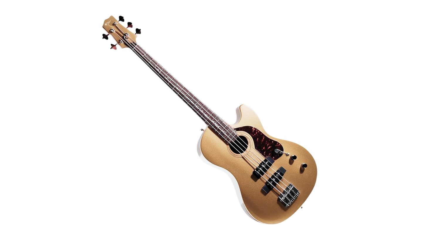 The Depths Acoustic Bass Guitar - Unleashing deep tones for your music